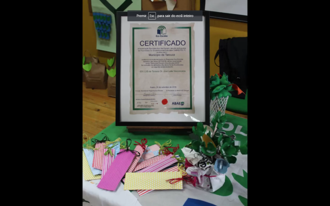 Agrupamento de Escolas de Tarouca com o hastear da bandeira verde