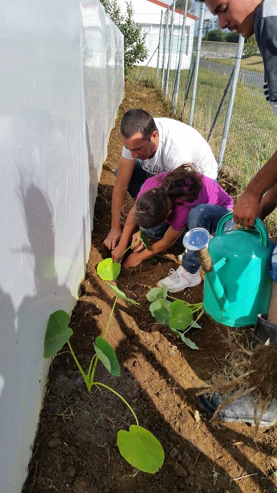 EBI Arrifes School preparing abiological camp