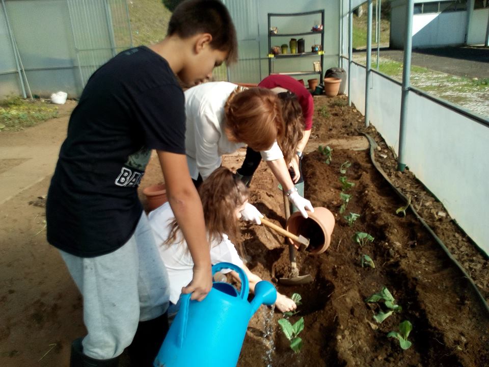 EBS Serafim Leite participam no GAD