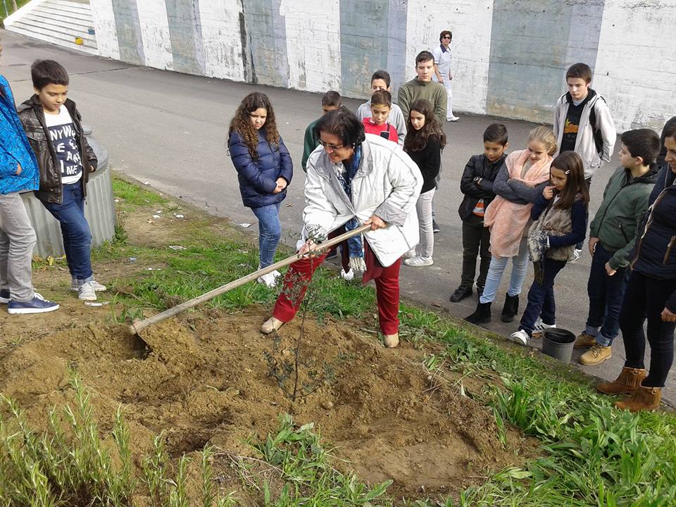EB 2,3 de Real (Braga) hastea a bandeira verde