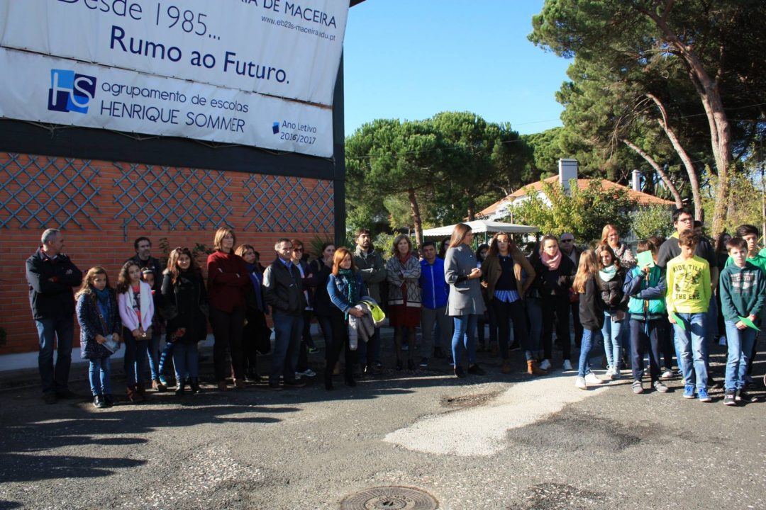 Escola Básica e Secundária Henrique Sommer no GAD