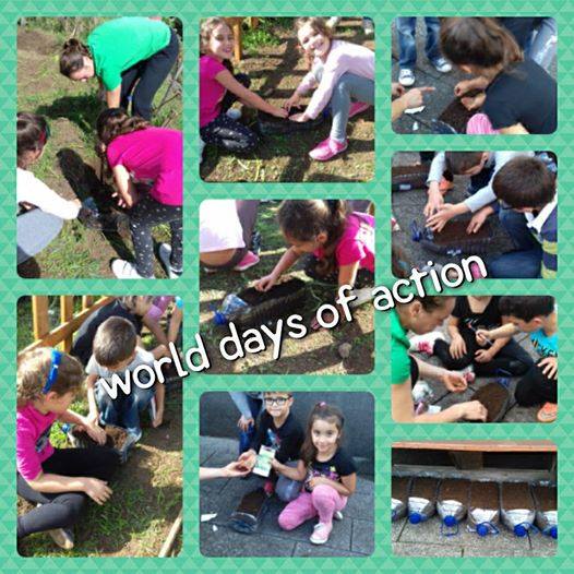 E.B.1/P.E. do Estreito da Calheta foram semear