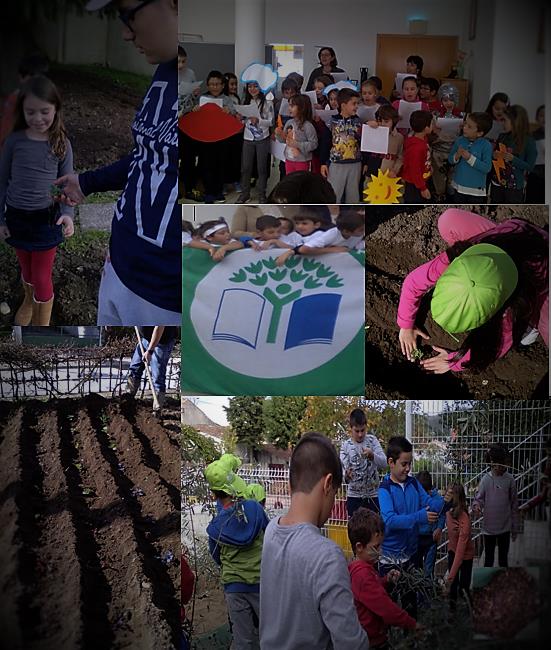 “Global Action Day” na EB1 de Lamas