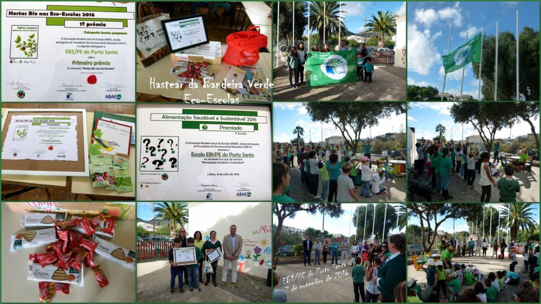 Porto Santo hastea a 7ª bandeira verde das Eco-Escolas