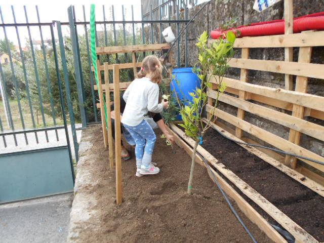 Escola básica do Refúgio hastea a 9ª bandeira verde