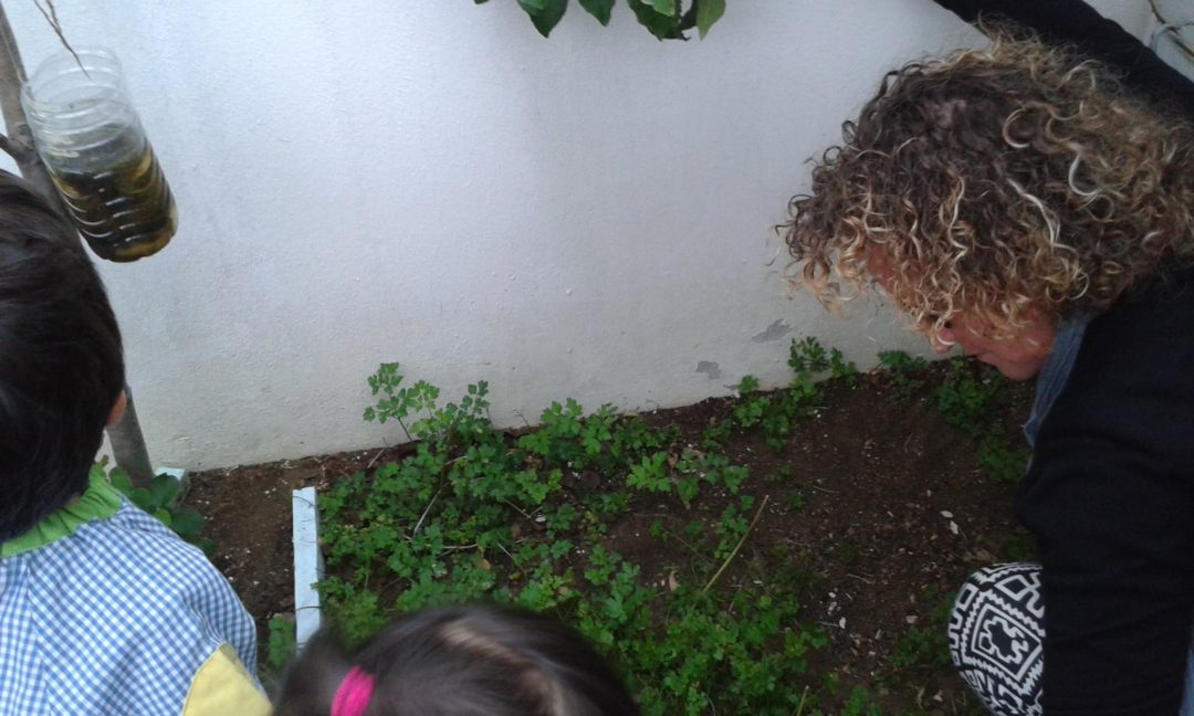 Dia Internacional das Eco-Escolas – Colégio Mãe Galinha