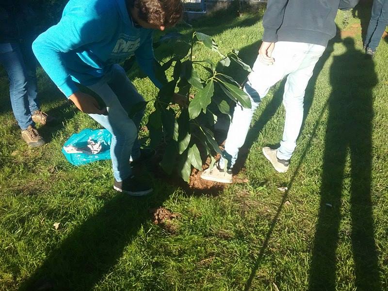 Escola EB 2,3/S da Chamusca por Portugal mais sustentável