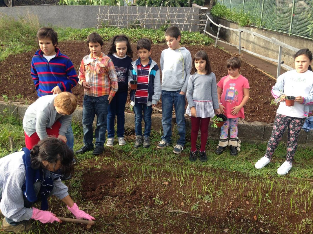 EB1/PE Calheta no Global Action Days