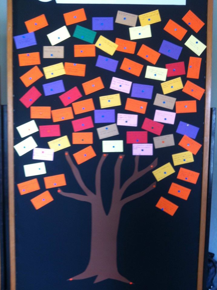 Granadas de Sementes