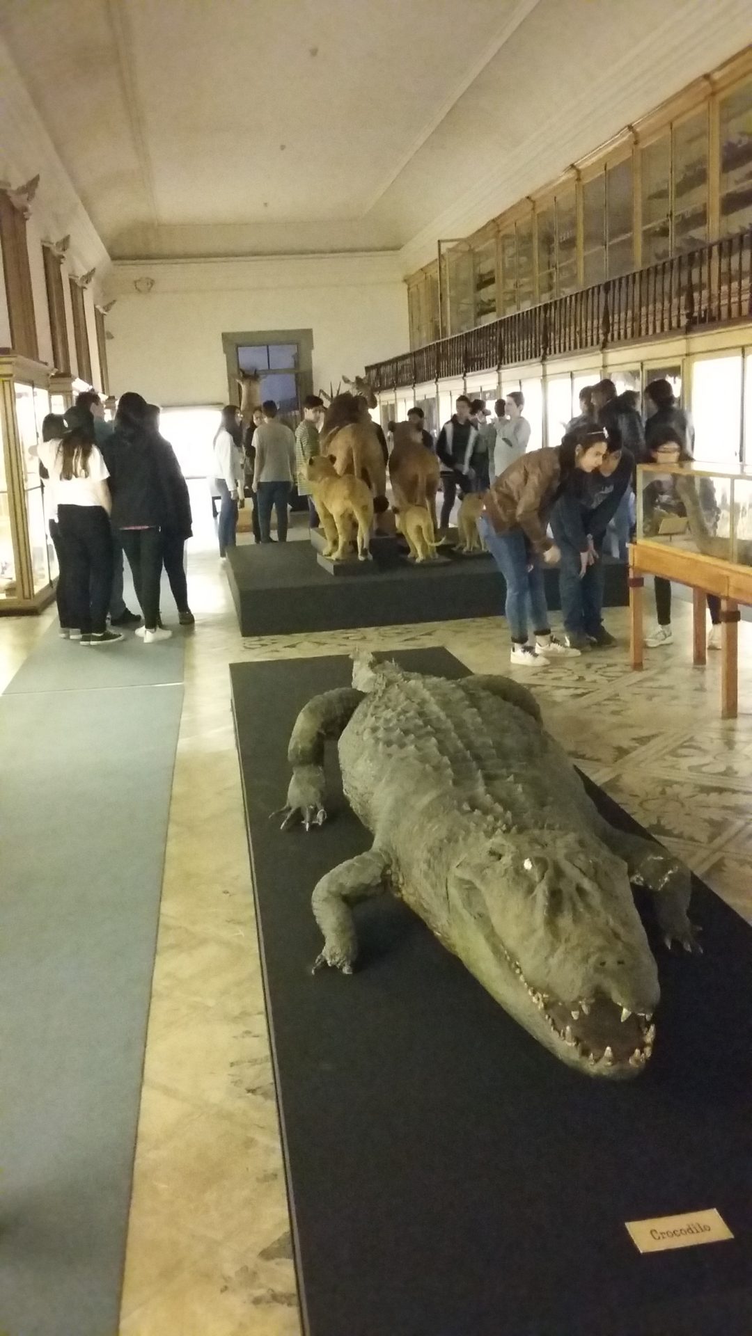 Visitas de estudo e a biodiversidade