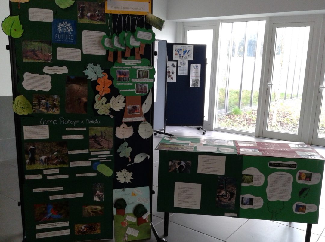 Dia mundial da Terra e Dia internacional das Eco-Escolas