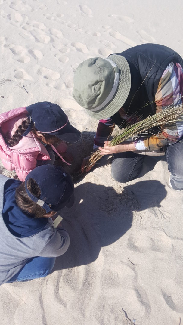 Reserva Natural das Dunas de São Jacinto