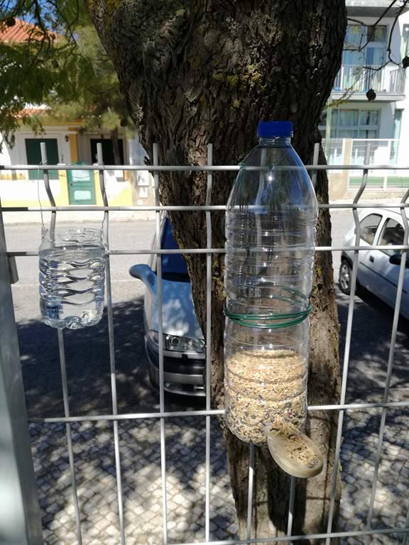 Comedouros e bebedouros