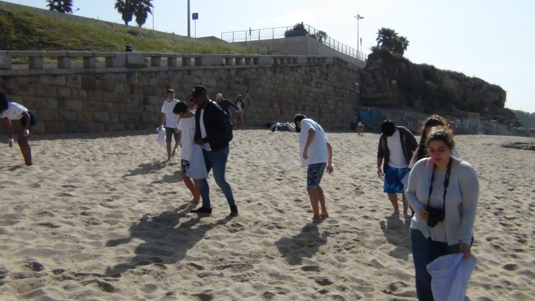 Campanha de recolha de lixo em São Pedro do Estoril