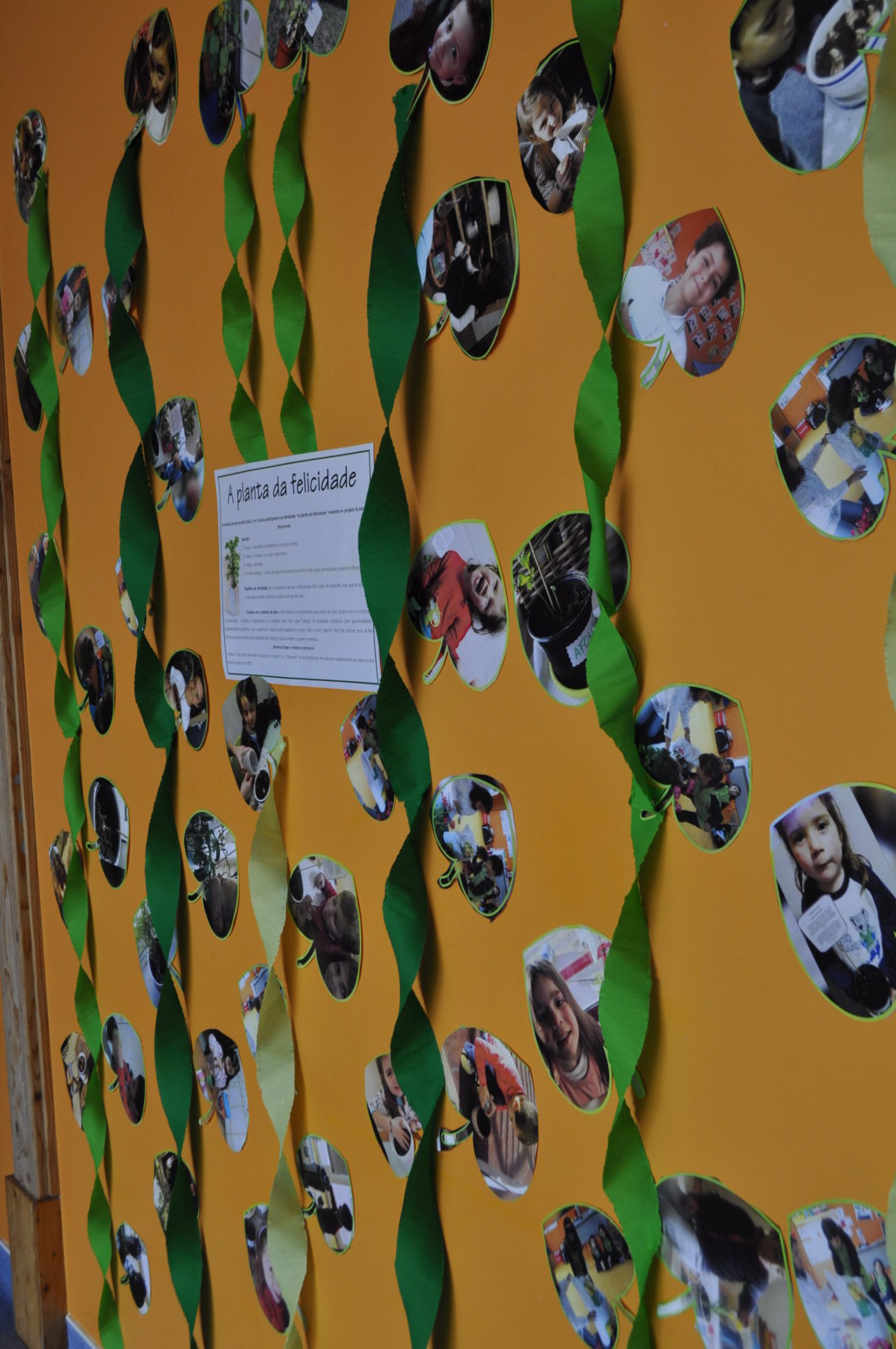 Exposições: a planta da felicidade e vamos poupar água