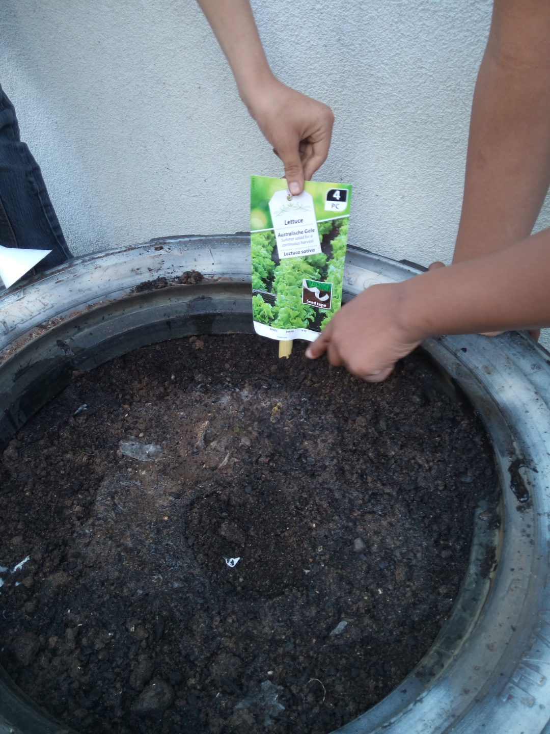 “Hortas e Canteiros”