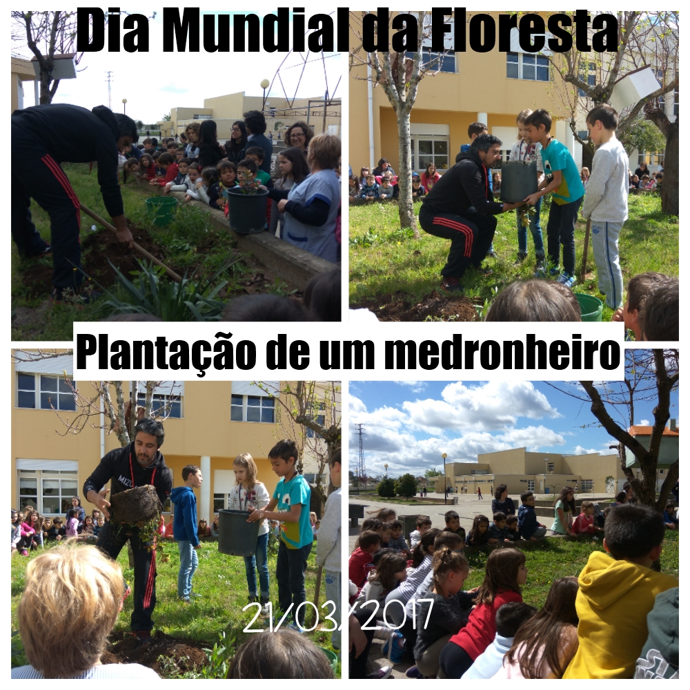 Comemoração do Dia Mundial da Floresta