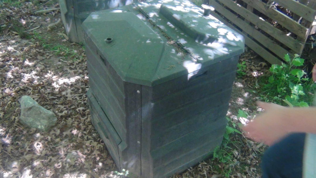 Dias internacionais de Ação | 26 de abril de 2017