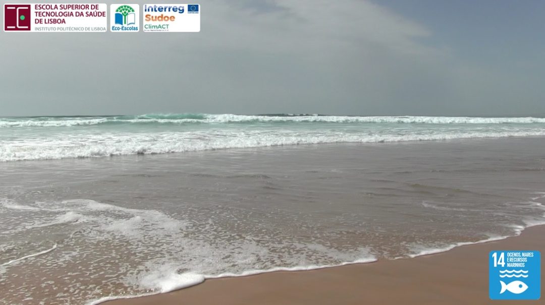 Beatas no chão… NÃO! (Cigarette butts on the floor… NO!)