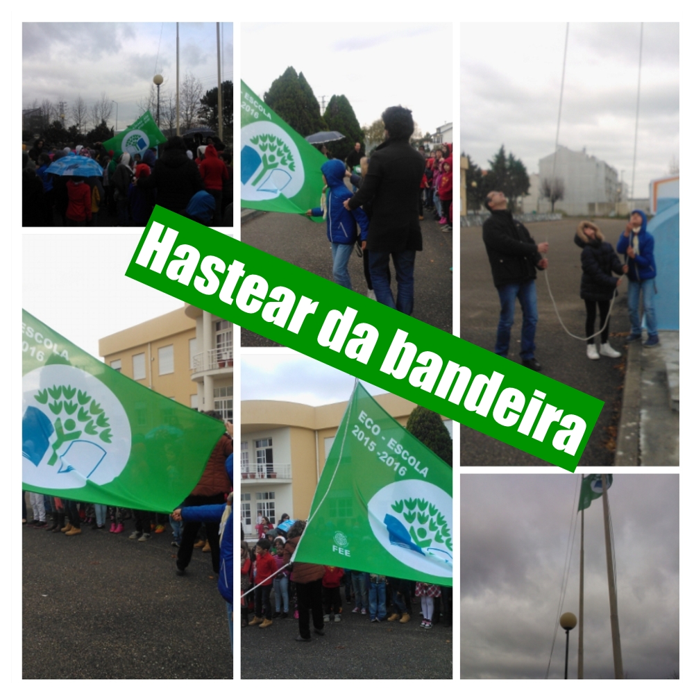 Hastear da Bandeira Eco Escolas