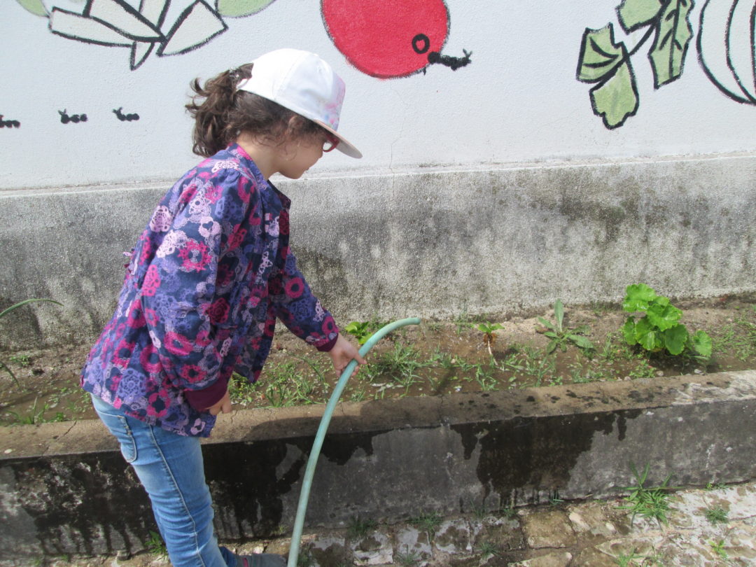 “Crescemos com… Cidadania” – Limpeza do espaço e manutenção dos canteiros