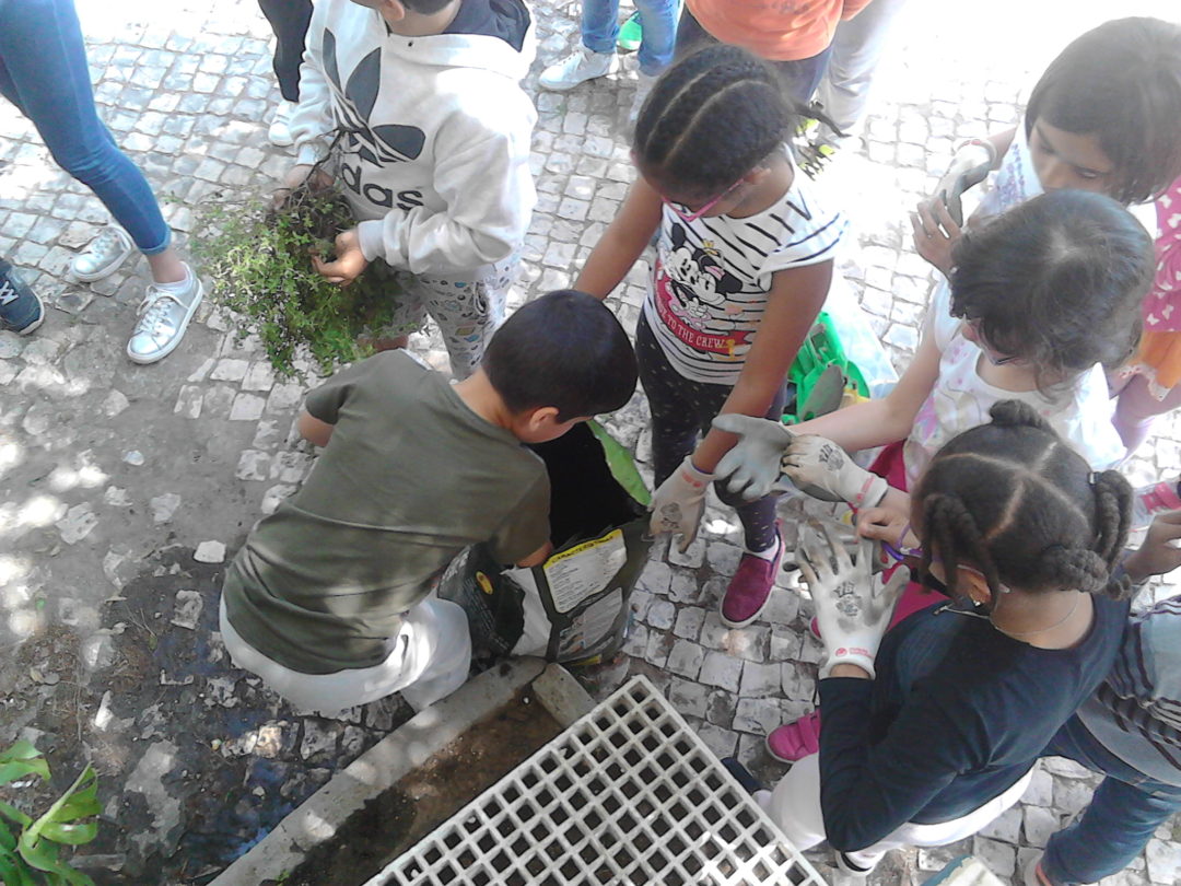 Aromáticas, pelo Dia da Terra!!!