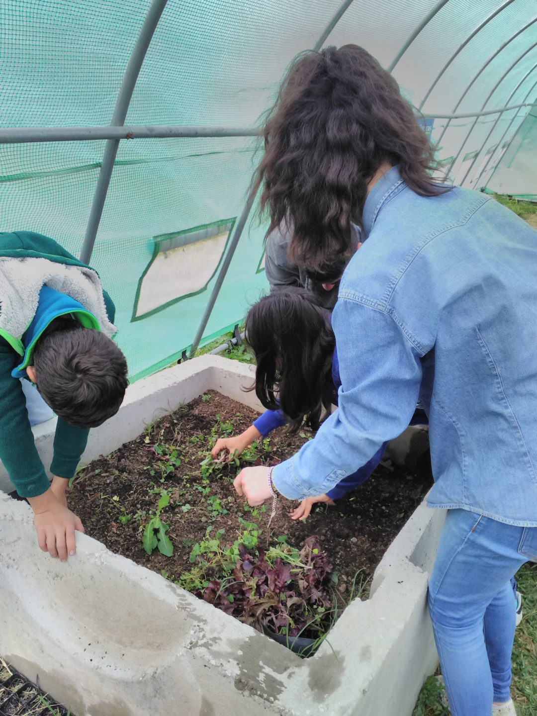 Celebrated Global Action Days