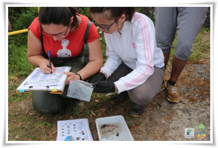 Ação de monotorização e limpeza do Rio Neiva