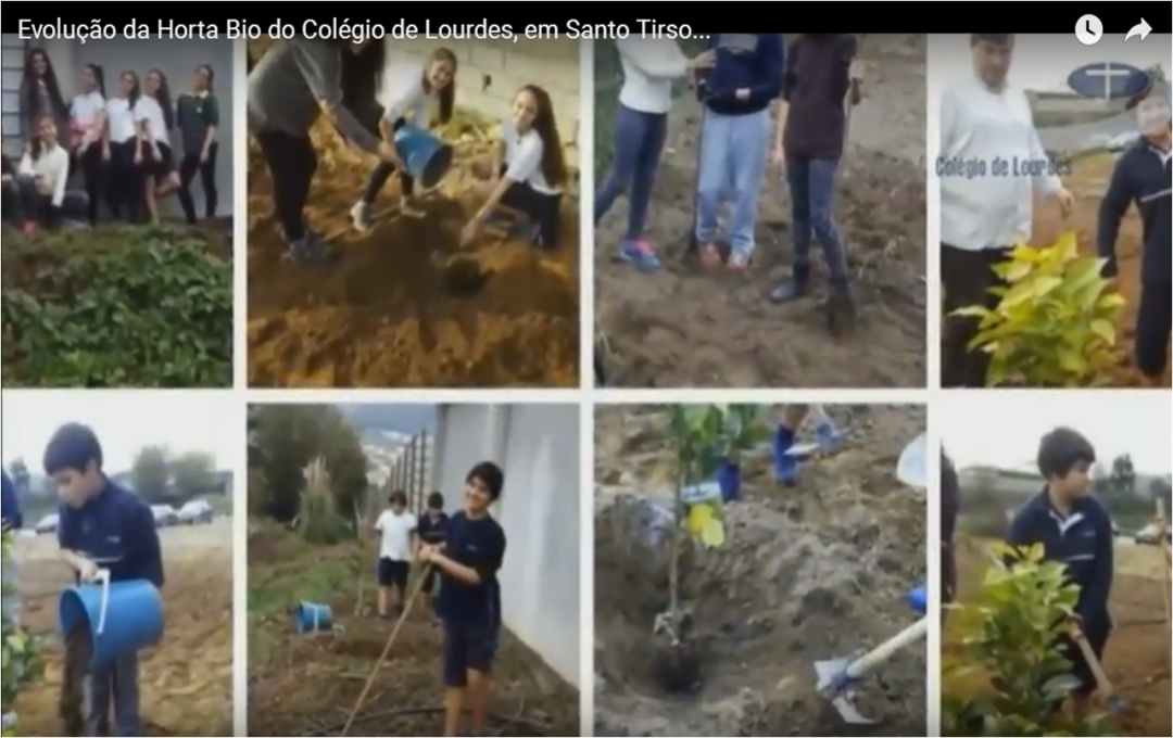 Evolução da Horta Bio do Colégio de Lourdes, em Santo Tirso…