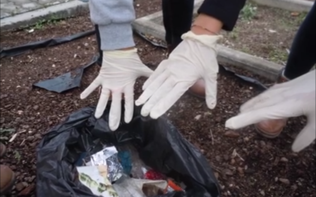 EB 2,3 Dr. António Chora Barroso  “escola limpa, escola linda”