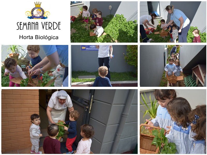 Semana Verde