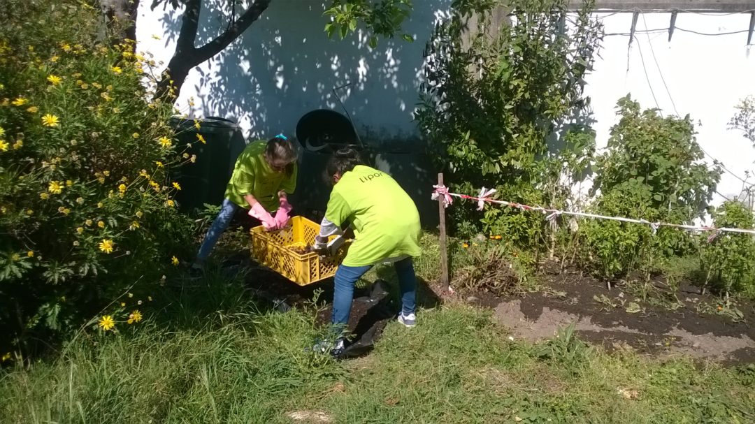 Cuidar da horta biológica