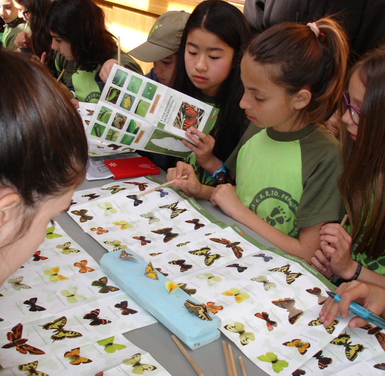 Vigilantes da Natureza Juniores visitam Borboletário de Cascais