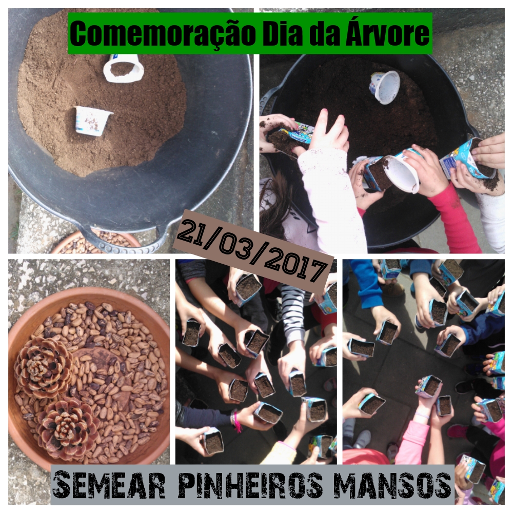 Comemoração do Dia da Árvore