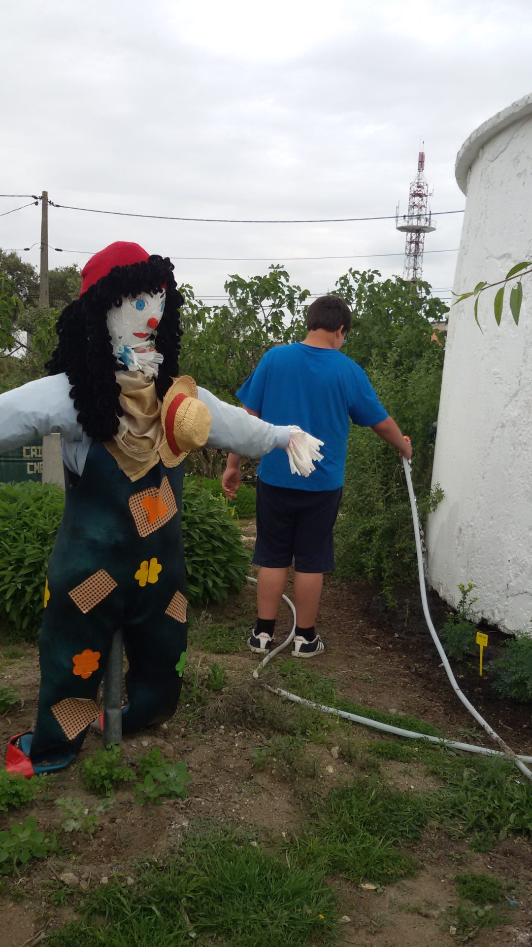 Cuidar dos canteiros de ervas aromáticas do Alto de S. Bento