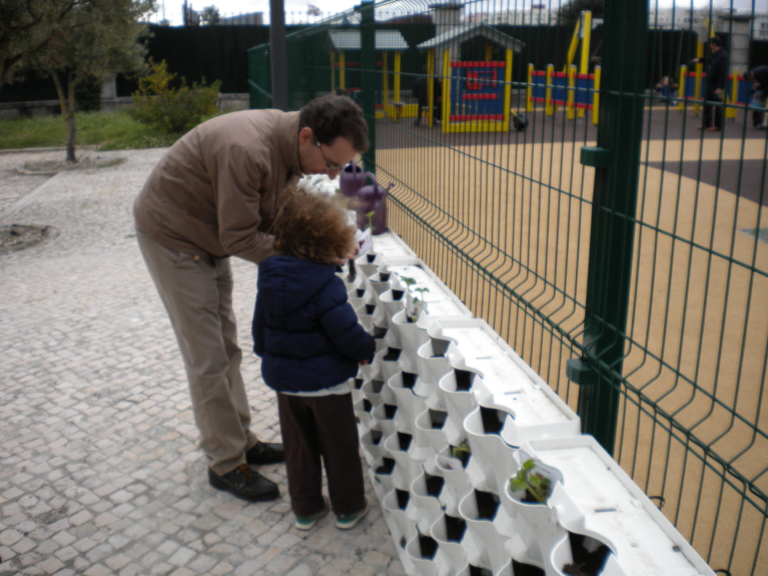 Plantação de morangos no Dia do Pai