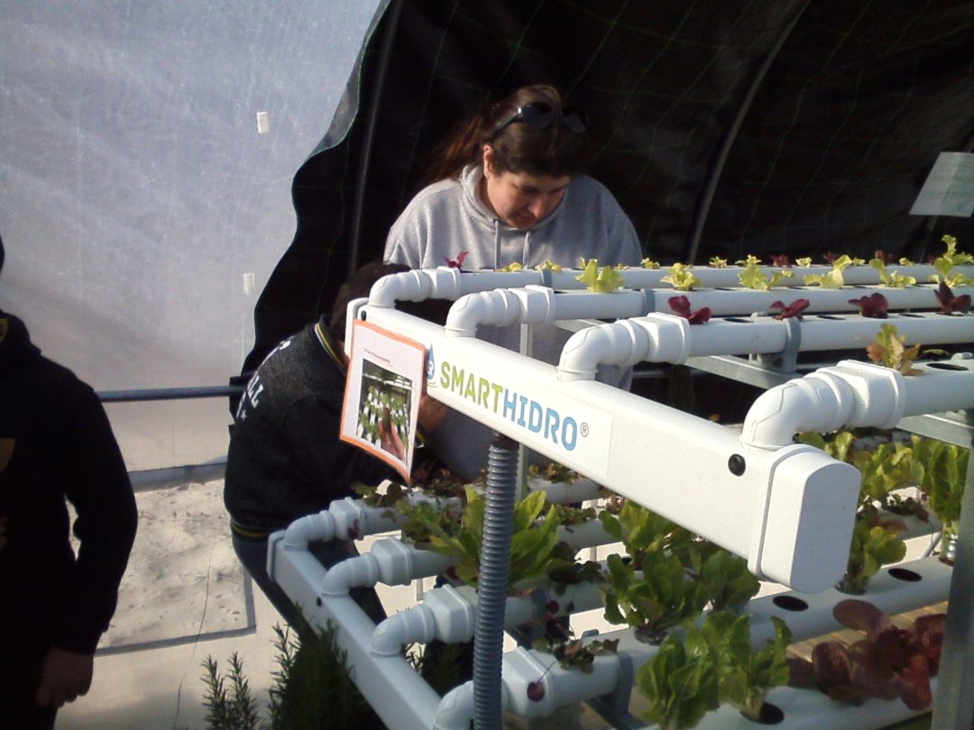 Atividades desenvolvidas no Dia da Terra