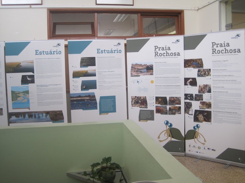 Exposição “Margens com vida”