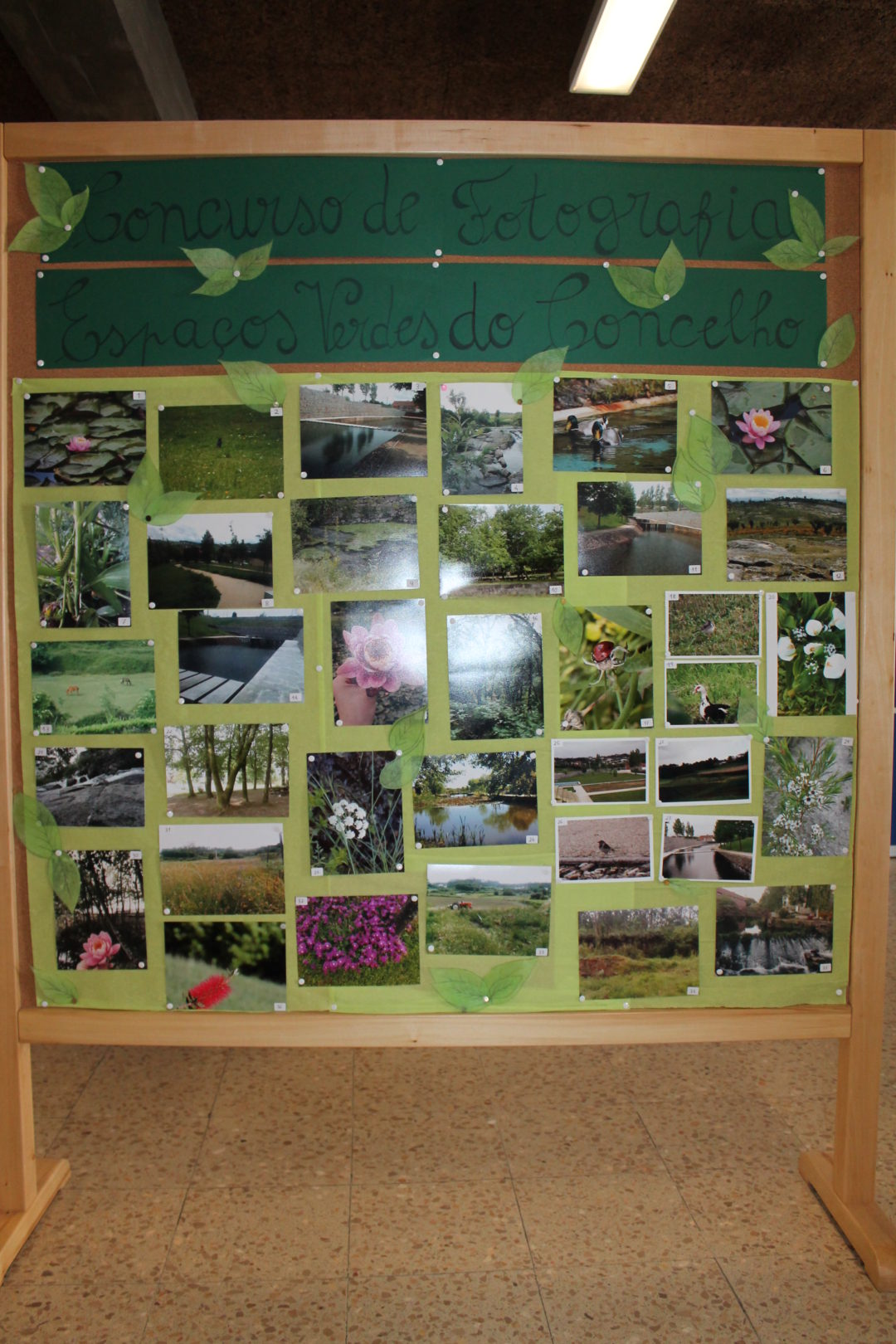 Concurso de Fotografia “Espaços verdes do Concelho” in GAD e Dia do Agrupamento