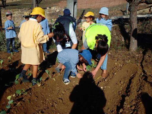 À Descoberta da Bio-Horta