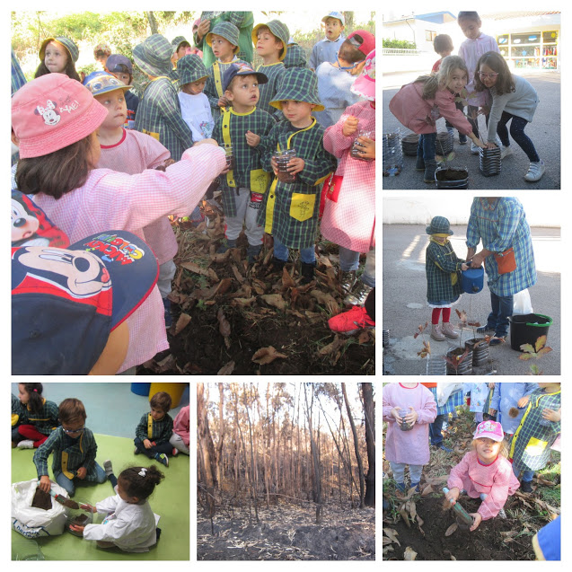 Mãos à Terra…a floresta precisa de nós!…