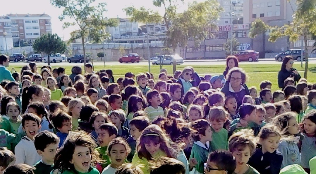 “De mãos dadas pela Floresta”