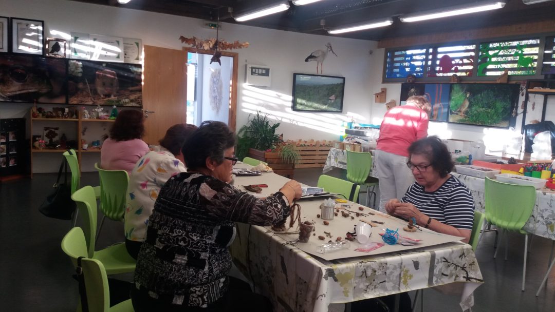 Presentes da floresta