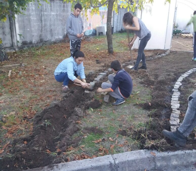 GlobalActionDays#Limpar a estufa