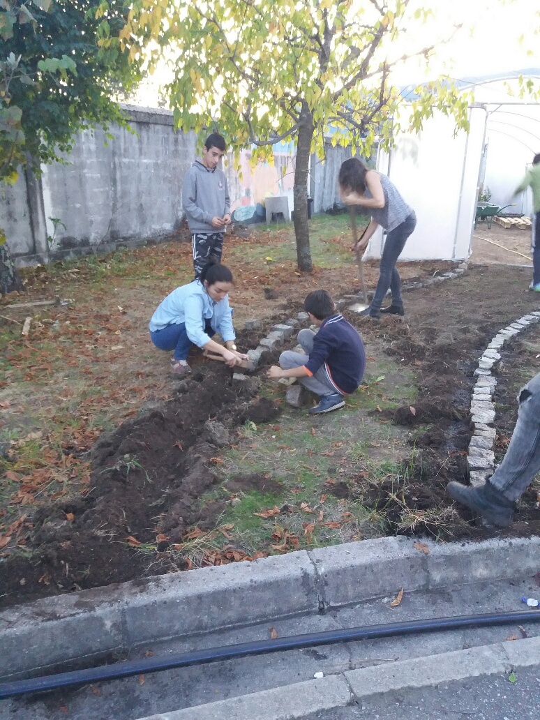 GlobalActionDays#Limpar a estufa