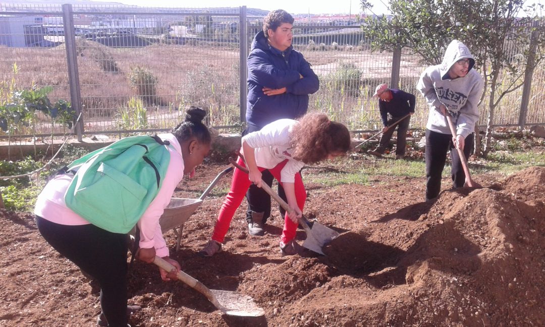 Hortas Biológicas e a integração de alunos com multideficiências