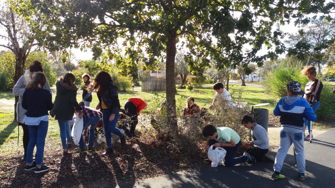 Comemoração do Dia Mundial da Bolota