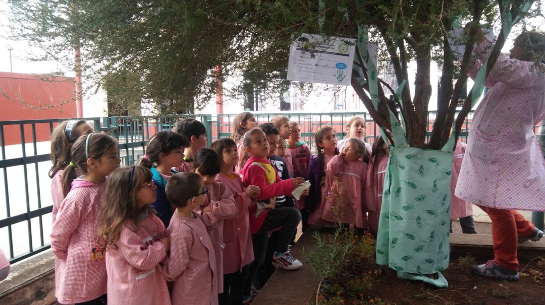 Global Action Days na EB1/PE Dr. Clemente Tavares – Gaula