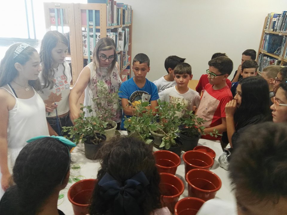 Início da Brigada da Floresta