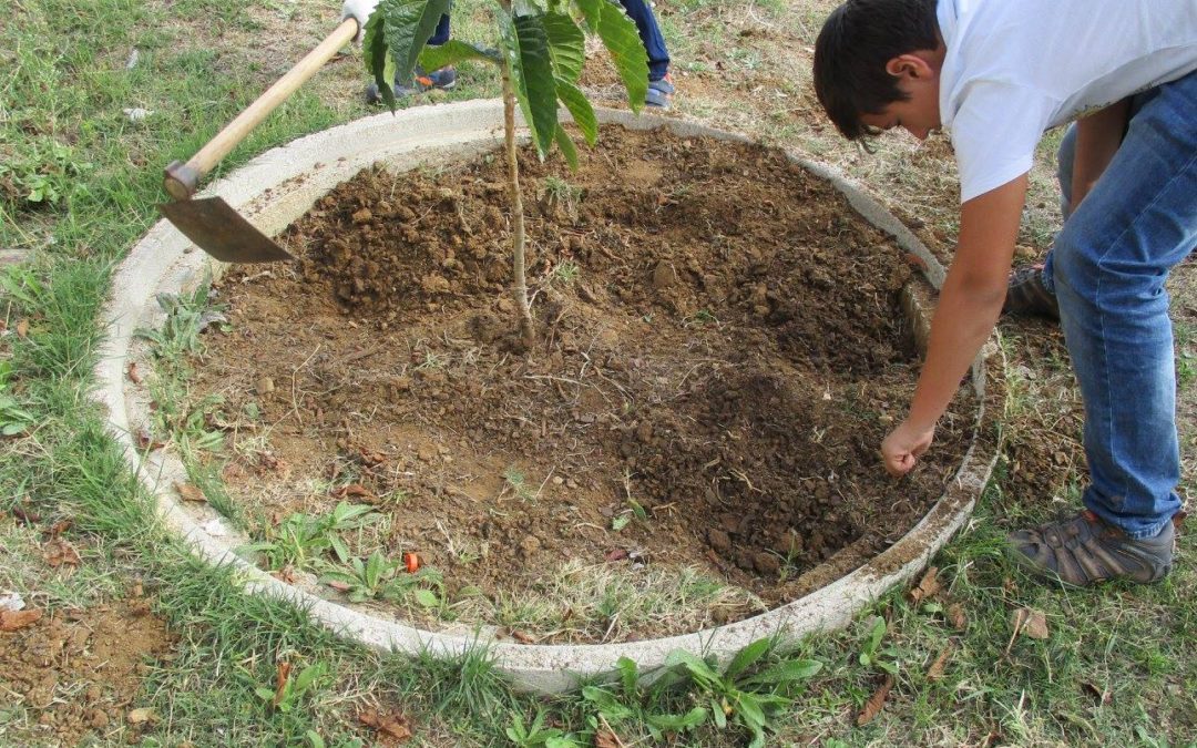 A Nossa Horta – EBI/JI Alvito